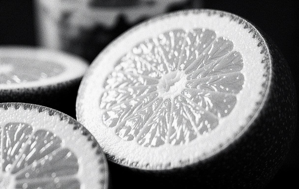 Textura biológica detallada